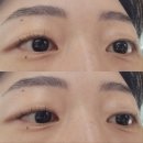 뽀끄미뷰티 | 하안동 속눈썹 펌 제 1부[#속눈썹 #펌 #내돈내산 #1]