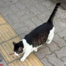 약대동행정복지센터 네이버블로그