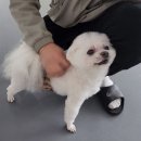 놀러왕왕왕 이미지