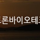 (주)인트론바이오테크놀로지 Daum카페