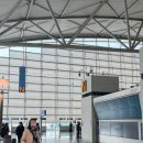 4612 | [중국/칭다오] 산동항공 CA8856, SC4612 칭다오 비행기 탑승 후기