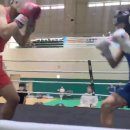 광주화랑권투 이미지