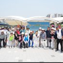 파크골프, 동호인 넘어 지역 공동체 연결 사회적 운동으로 '우뚝' 이미지