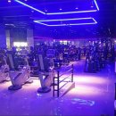 보보스 휘트니스 이미지