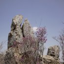 해피민박 이미지