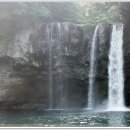 천지연폭포 이미지