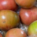 은율농장 이미지