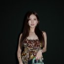 수지 이미지