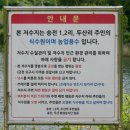 송전2리 이미지
