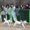 광주광역시 우치동물원 동물병원 이미지