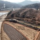 백곡면사무소 이미지