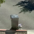 밥정(情) | [미국일상] 제프의 HBD🥳 &amp; 한국의 정(情)