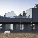 애견민박 멍집 이미지