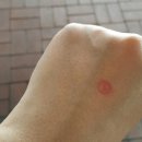 웅이네숯불갈비 이미지