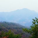 그리심농장 이미지