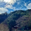상오리 | 상주 볼거리 상오리 칠층석탑 및 장각폭포