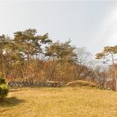 부흥정