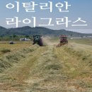경북 구미농협 칠곡축협 이탈리안라이그라스 사료작물 수확 연시회