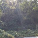 상동 태양광발전소 이미지