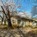 동해 구 삼척개발 사택과 합숙소 이미지