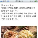 화악산잣