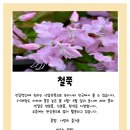 남양영재어린이집 이미지