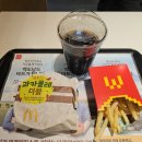 1047 | 맥도날드 신메뉴 베토디 과카몰레 더블 후기