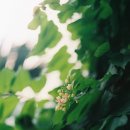 햄스테드 런던