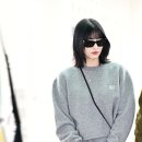 모모투어 이미지