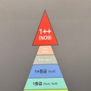 수성아일랜드 네이버블로그