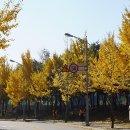 으뜸체육공원 이미지