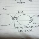 Re:다리없는 안경 사진2 탄 (보조흡착패드 +판스프링으로 착용하는 다리없는 안경) 이미지