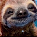 모화하우스 이미지