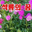 도양농장 이미지