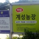 계성농장 네이버블로그