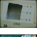 (주)투어마트 이미지