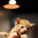 용연로 50번길 이미지