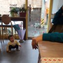 호야샤브 이미지