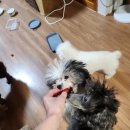 브니엘농장 이미지