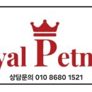 놀다올개 네이버블로그