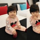 시닉94 이미지