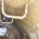 와이디에스 이미지