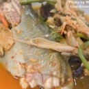 메기대감 이미지