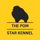 스타켄넬 이미지