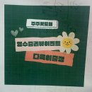 원주 무실동 식물샵 | 주주꽃도매 방문후기 | 거북 알로카시아 관리법