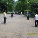 낙성초교 이미지