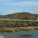 뿌리공원 이미지