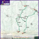 [2019, 7, 6][109회]정선 가리왕산(1,562m) 정기산행 이미지