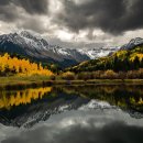 자연의 꿈 이미지