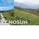 고산목장2 이미지